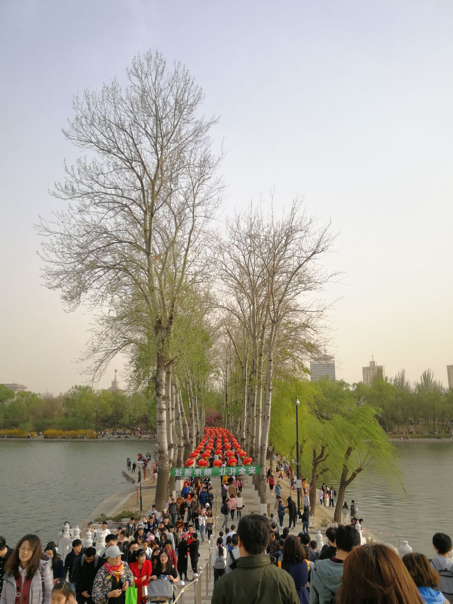 迎世界环境日，北京玉渊潭蓝天碧水景致超美