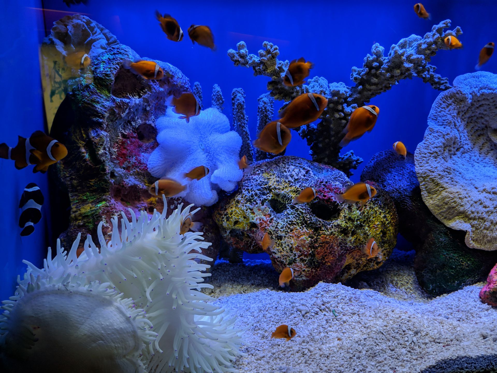 上海海洋水族馆
