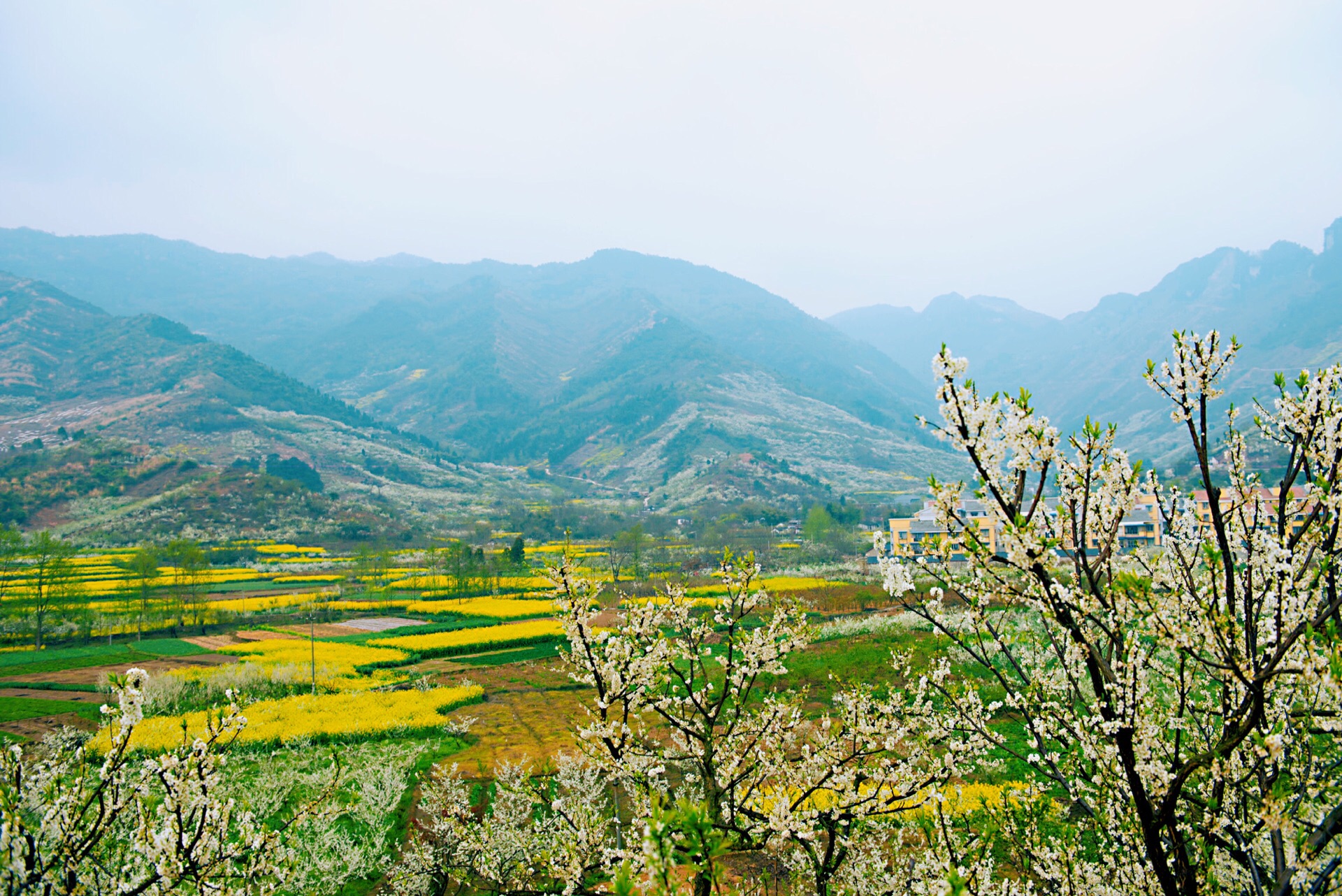 2020葛仙山镇-旅游攻略-门票-地址-问答-游记点评,彭州旅游旅游景点