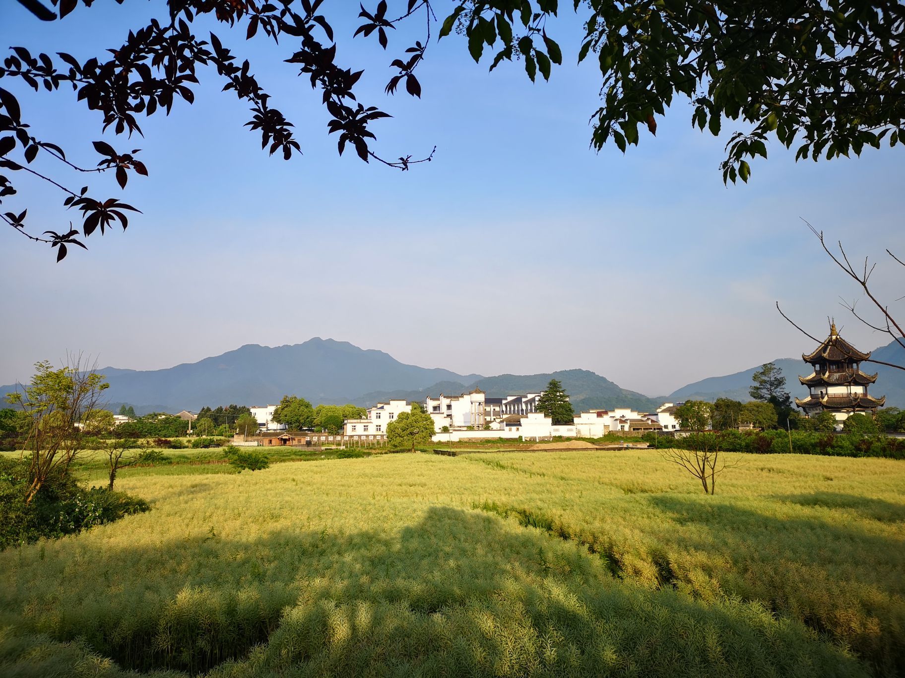 2019桃花潭_旅遊攻略_門票_地址_遊記點評,涇縣旅遊景點推薦 - 去哪兒