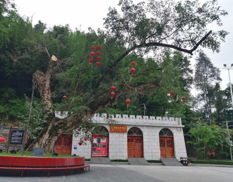 友谊关景区 100w14000000wb8xy0778_C_480_375.jpg