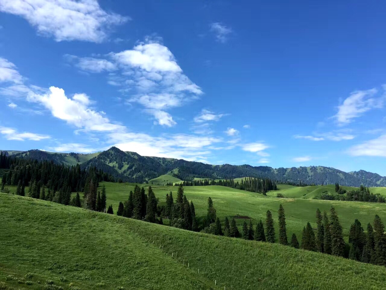 那拉提旅遊風景區