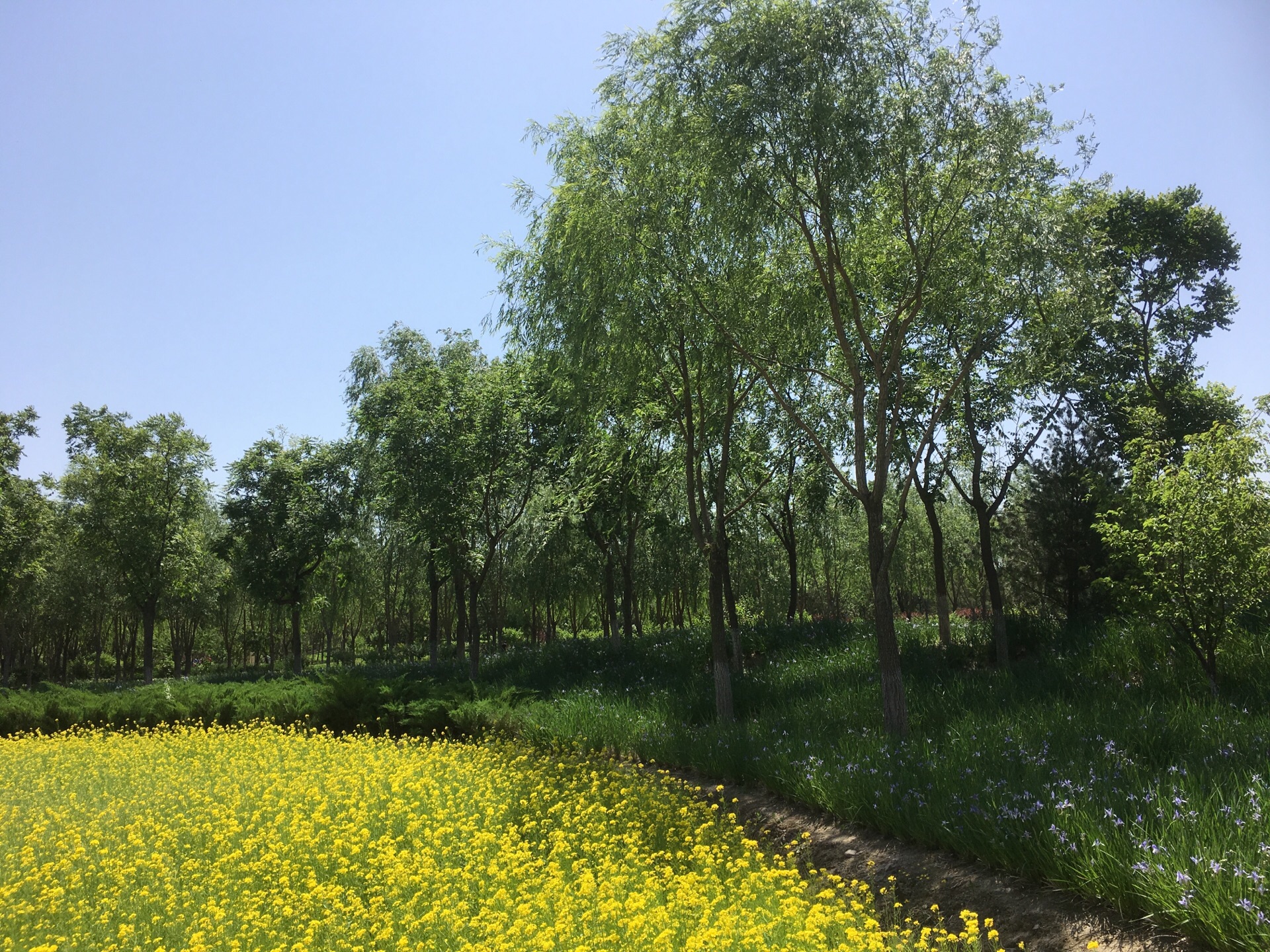【携程攻略】北京北坞公园景点,颐和园边上的一个免费公园，人很少，有一片池塘，不大，绕一圈慢慢走…