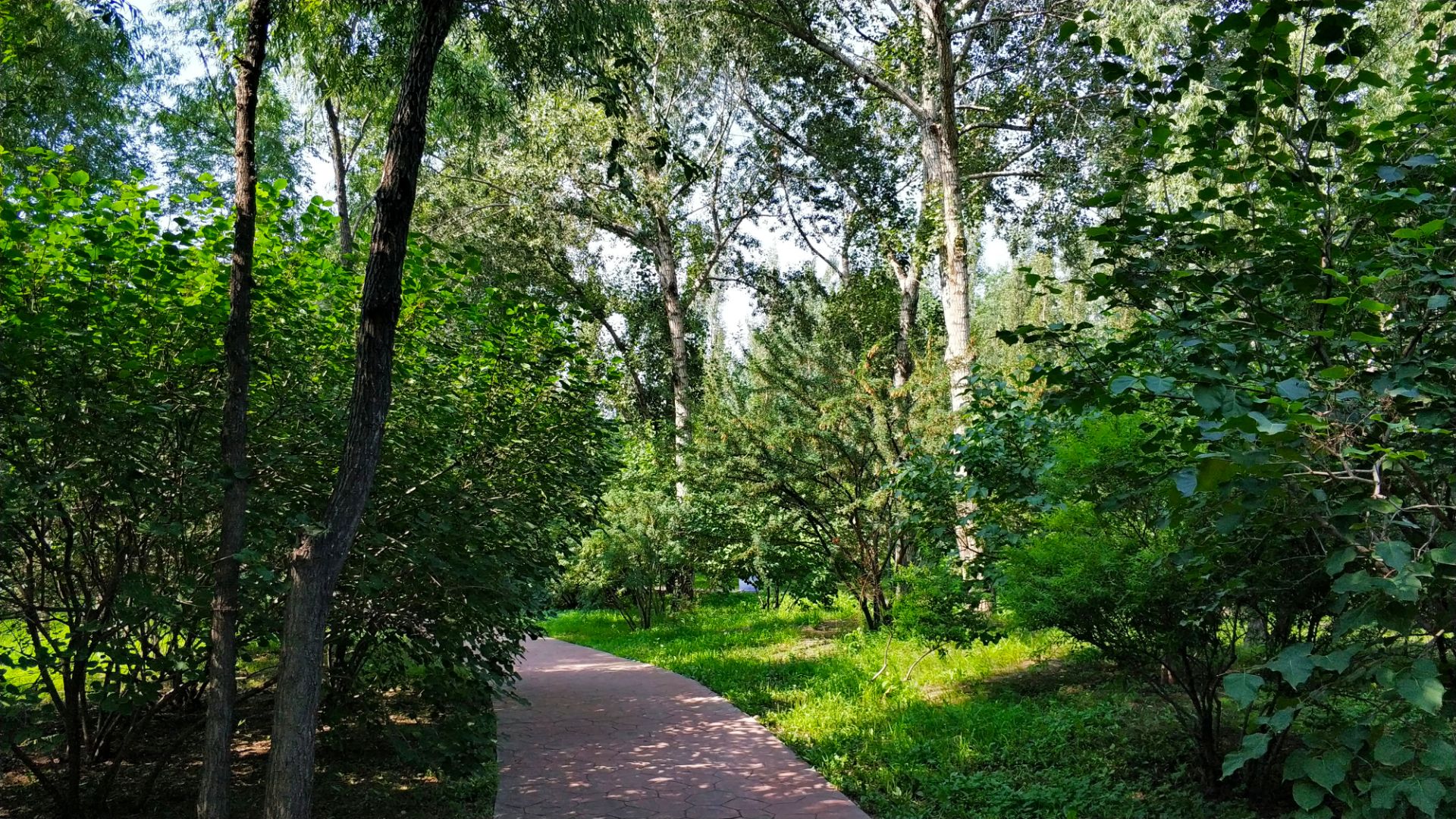 【攜程攻略】哈爾濱顧鄉公園景點,顧鄉公園,沿何家溝堤壩而建,是一座