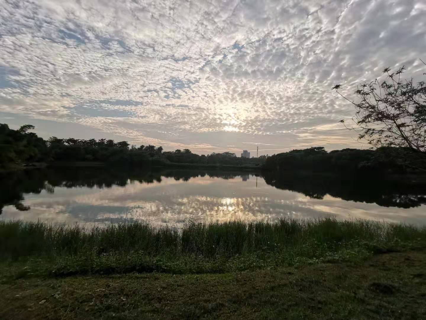 【大美广东】广州湖景赏析：海珠湖 _湿地保护_www.shidicn.com