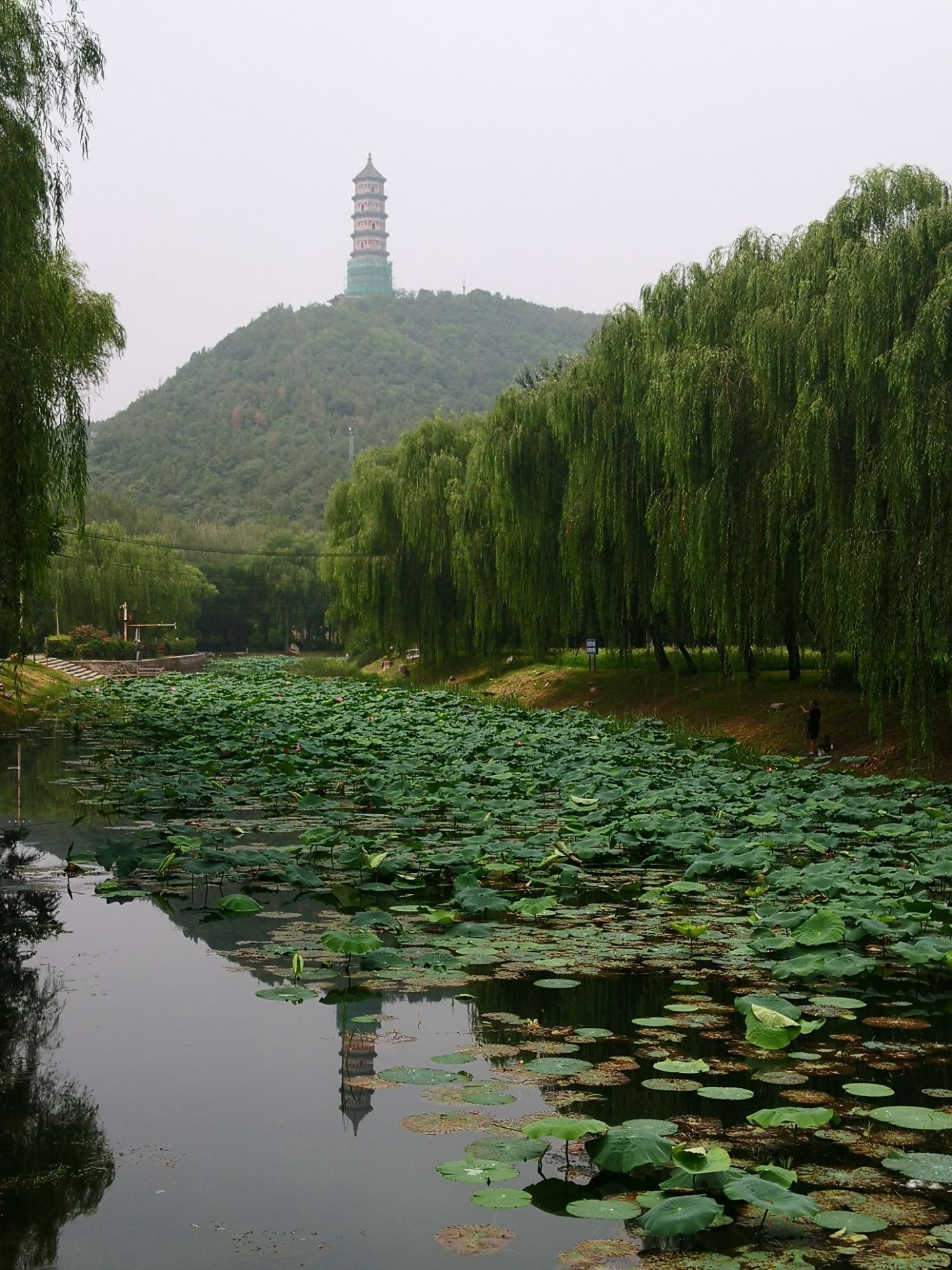 2020北坞公园-旅游攻略-门票-地址-问答-游记点评，北京旅游旅游景点推荐-去哪儿攻略
