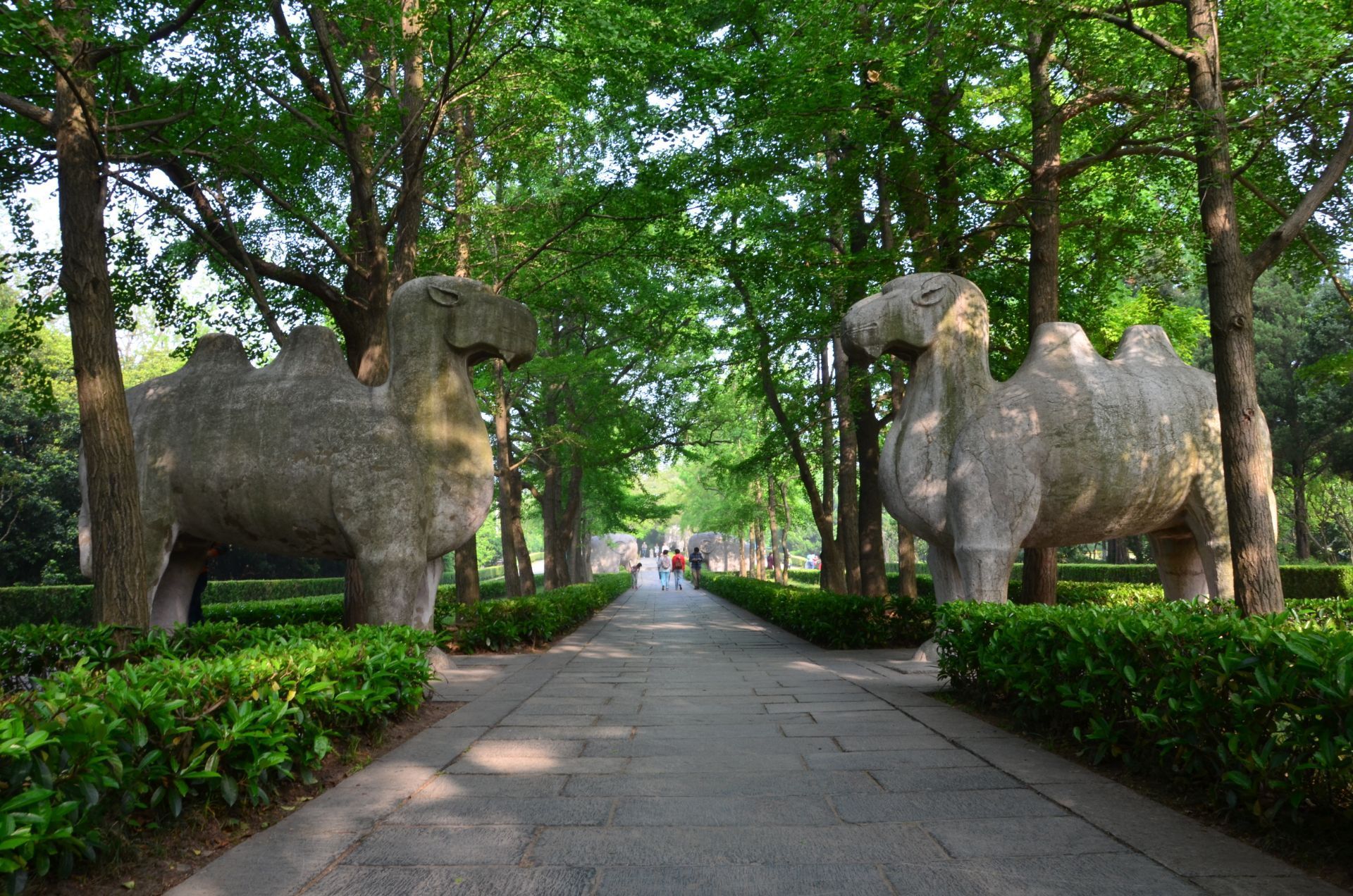 2019石象路_旅游攻略_门票_地址_游记点评,南京旅游景点推荐 去哪儿