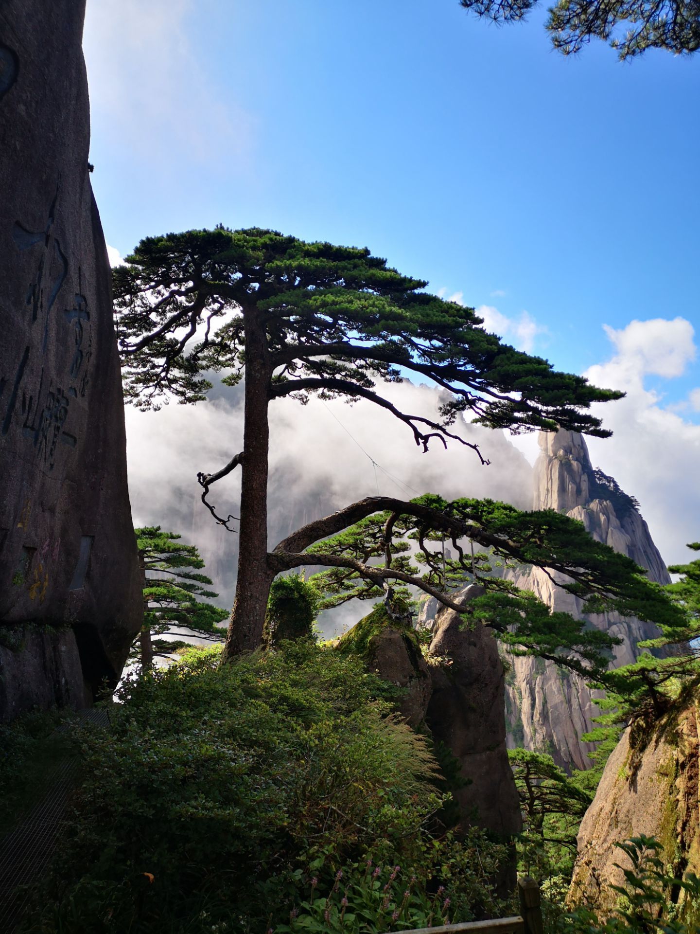 【携程攻略】黄山风景区迎客松景点,迎客松是黄山的标志,位於前山的