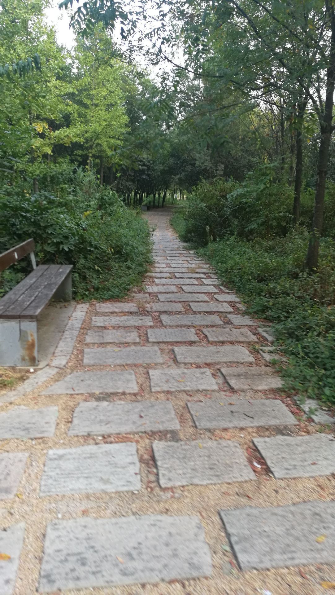 2020文昌山山体公园-旅游攻略-门票-地址-问答-游记点评,济南旅游旅游