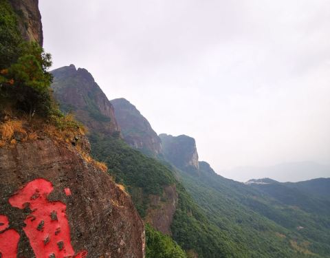 灵通山在哪个市 100w19000001647zy049B_C_480_375.jpg