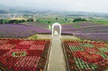 位于上富良野町的近郊，是日本第一个拥有大型薰衣草花田的公共花园。在7月薰衣草盛开的时节，公园会开放给