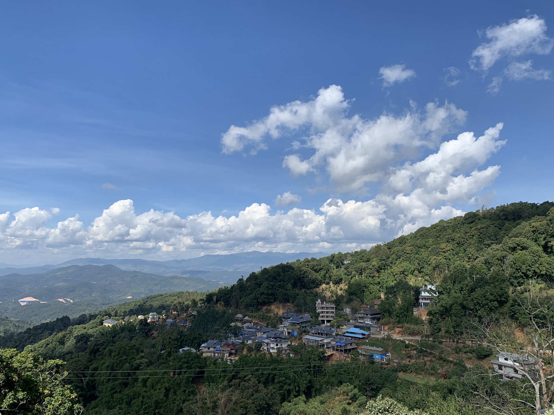 【携程攻略】勐海南糯山景点,跟着高德导航去的茶树王,这棵800年的古