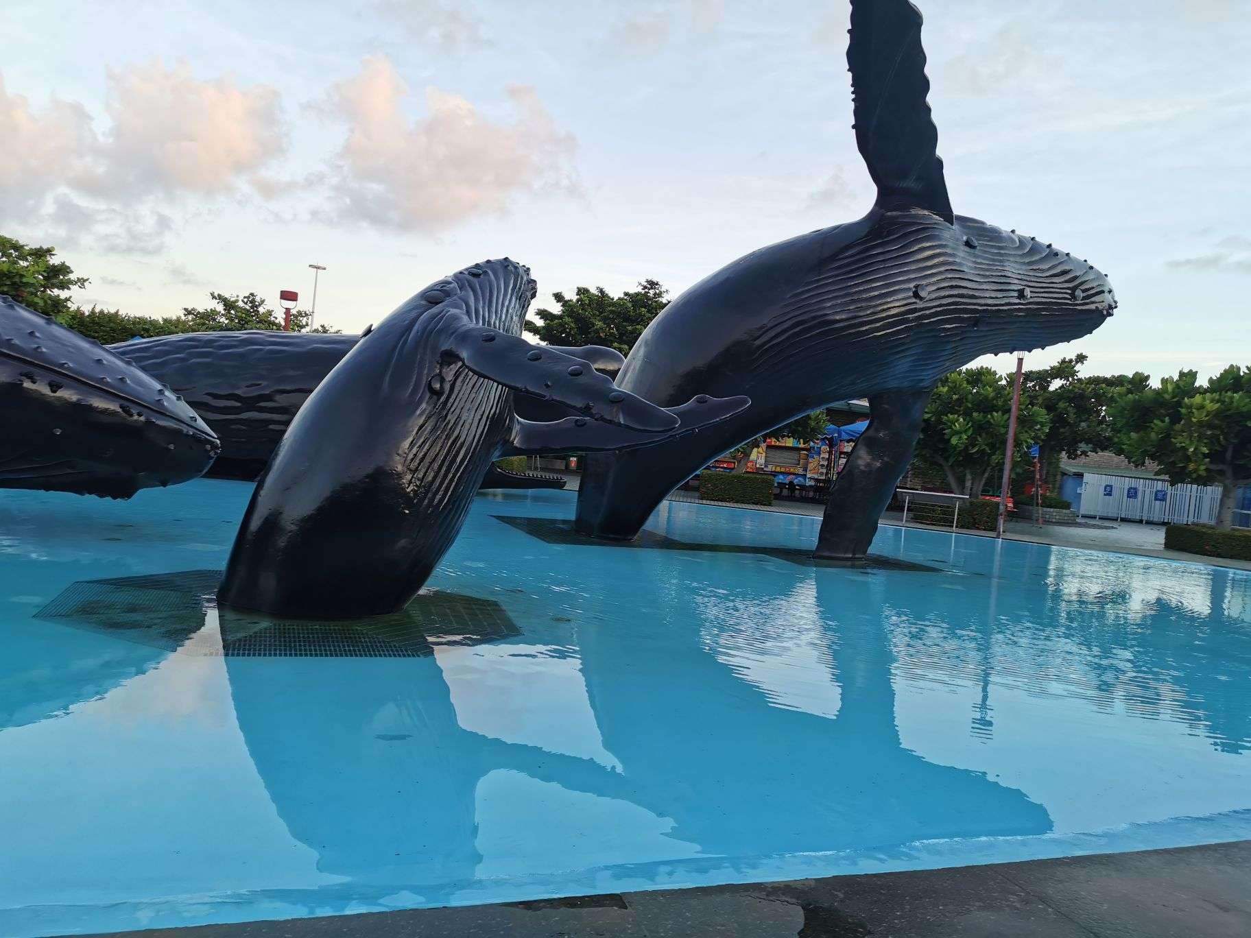 台湾海洋生物博物馆