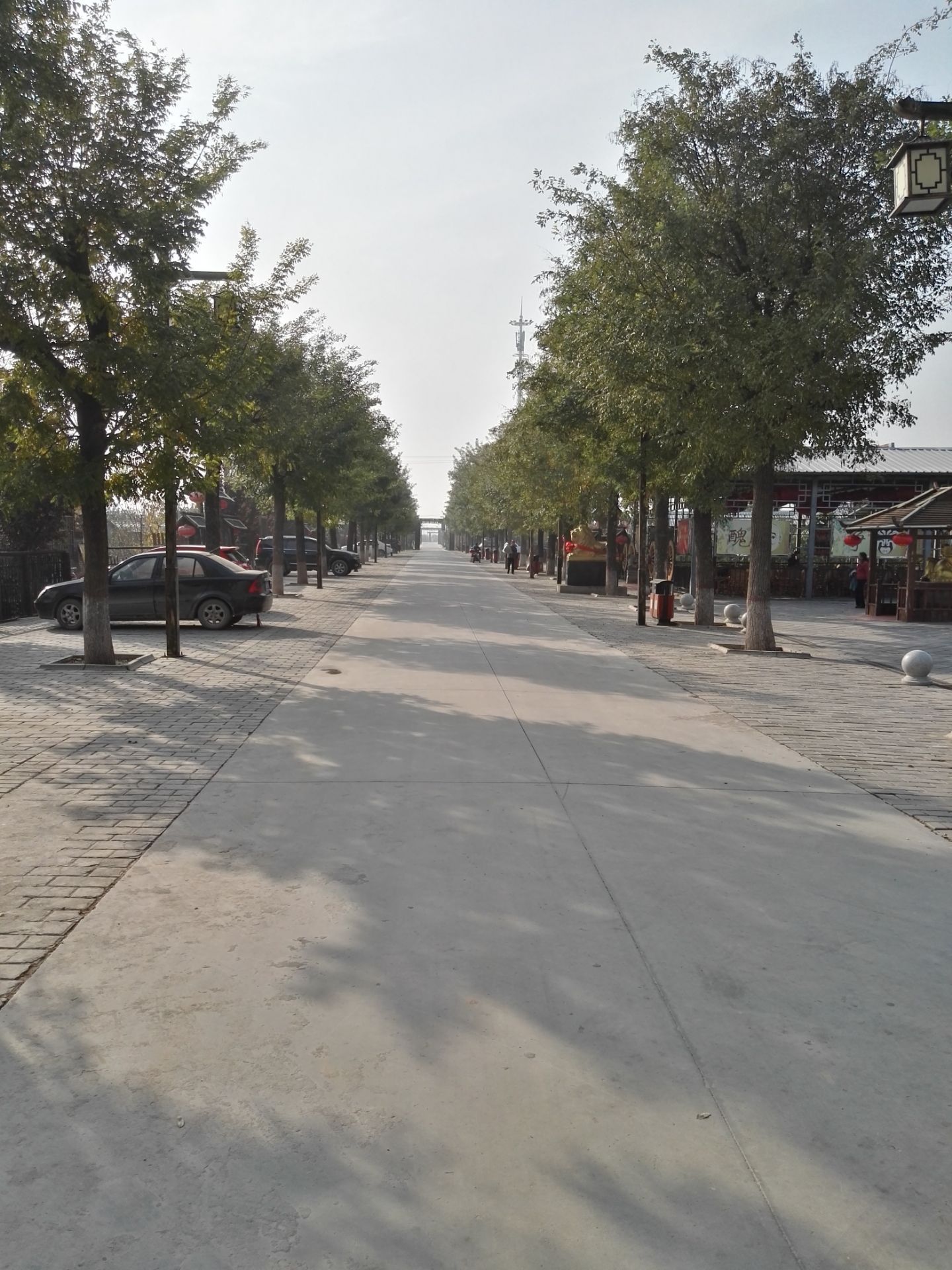 白村现代农业园区