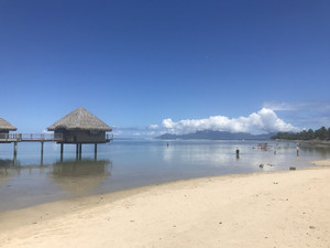 波拉波拉岛游记图文-大溪地之旅