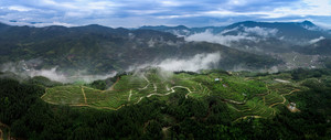 仙游游记图文-绿色王国的自然旅行之旅，兰石绿源名贵植物园旅拍攻略