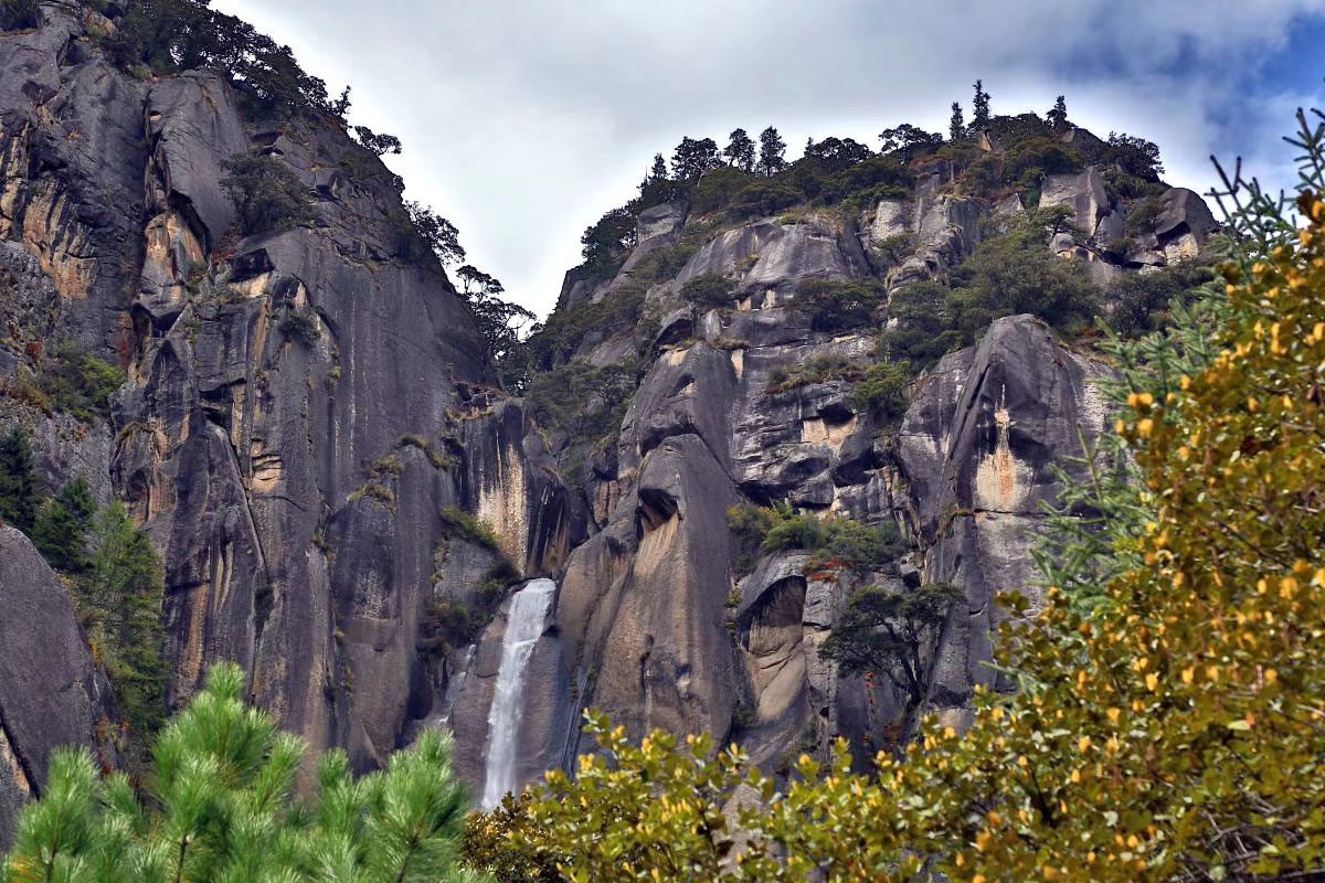 2020卡定沟景区-旅游攻略-门票-地址-问答-游记点评,林芝旅游旅游景点