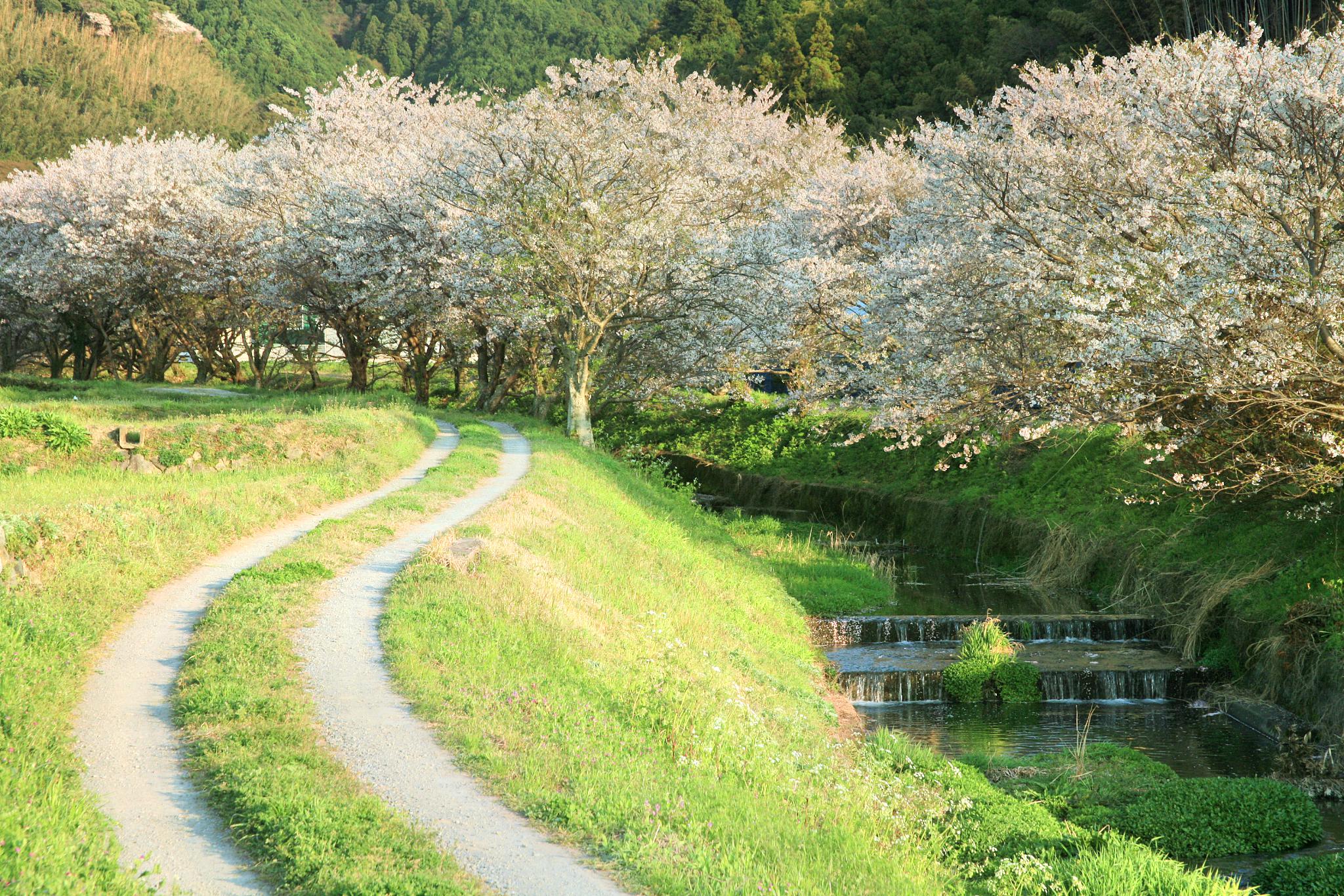 福冈栉田神社攻略 栉田神社门票价格多少钱 团购票价预定优惠 景点地址图片 携程攻略