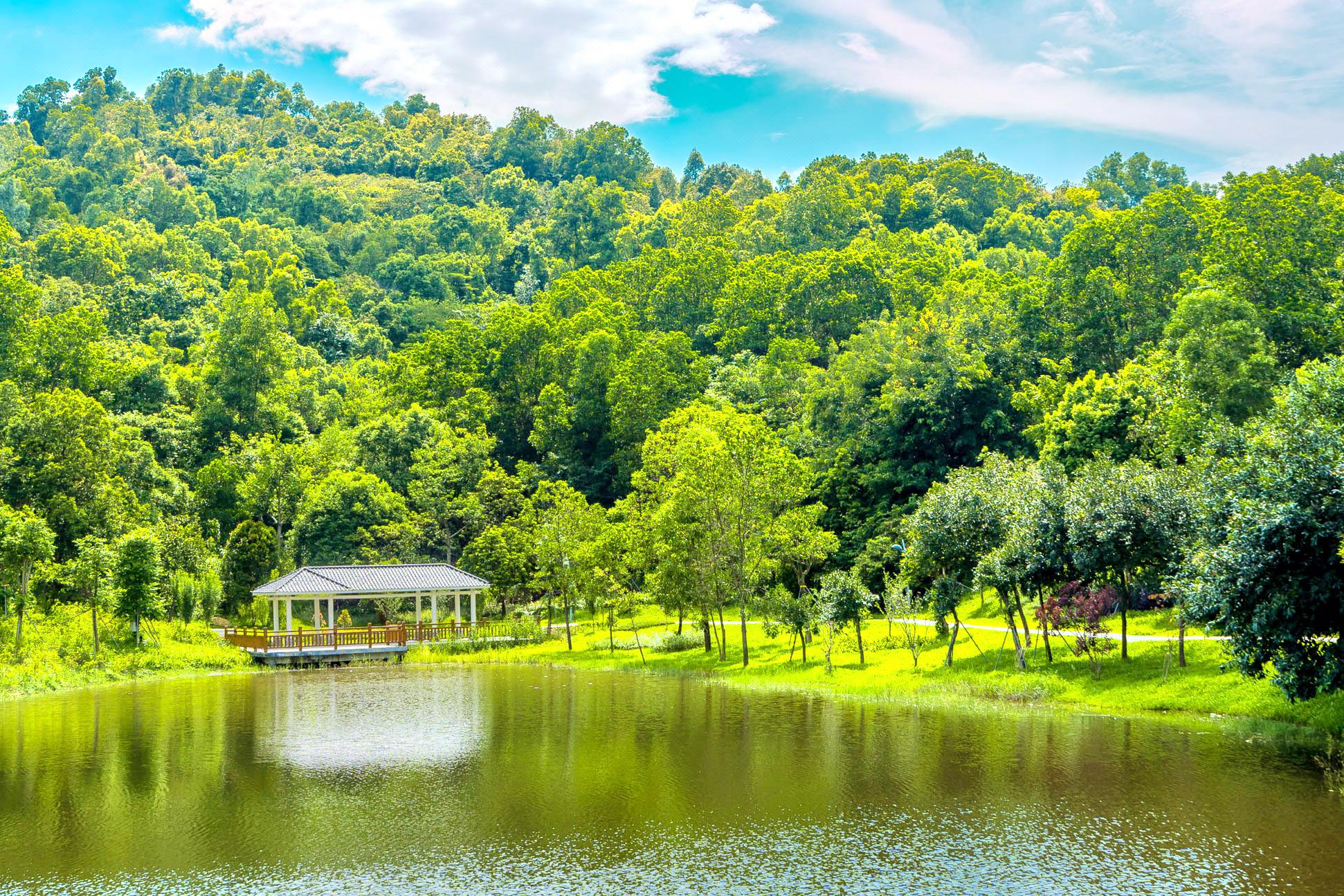 大运自然公园 直线距离1.2km