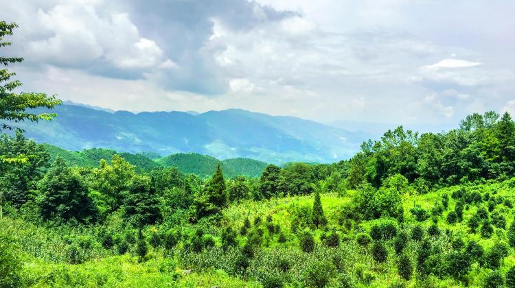 重庆摩围山景区攻略