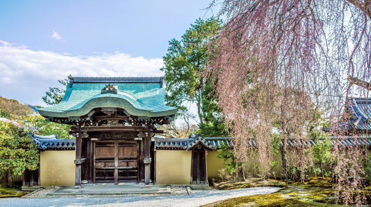 京都高台寺攻略 高台寺门票价格多少钱 团购票价预定优惠 景点地址图片 携程攻略