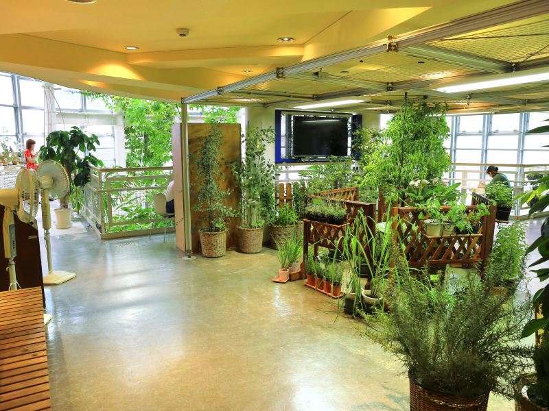 涩谷区互动植物园