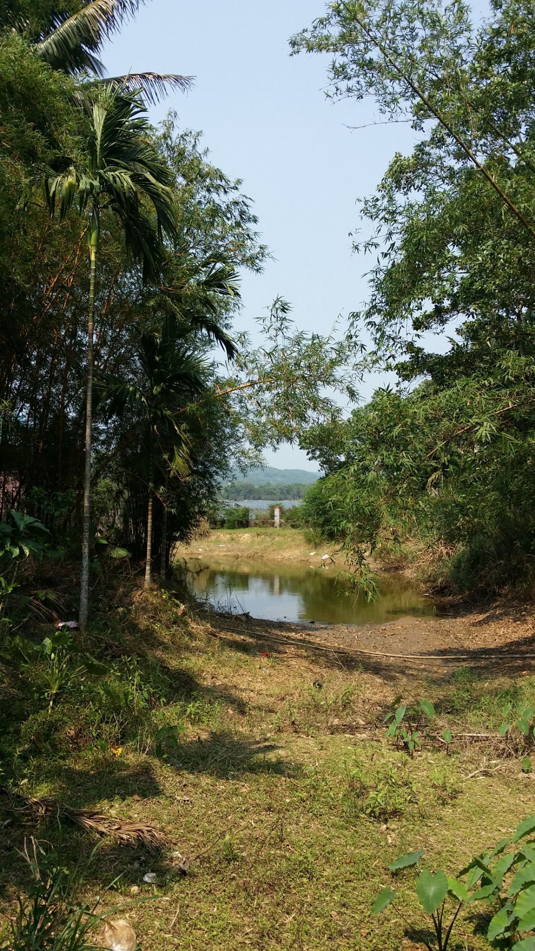 木色湖旅遊度假景區 直線距離288m