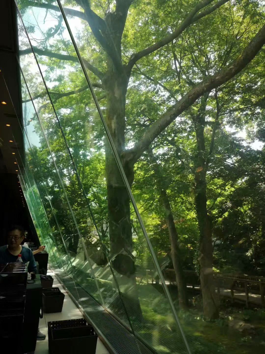 石川县立美术馆