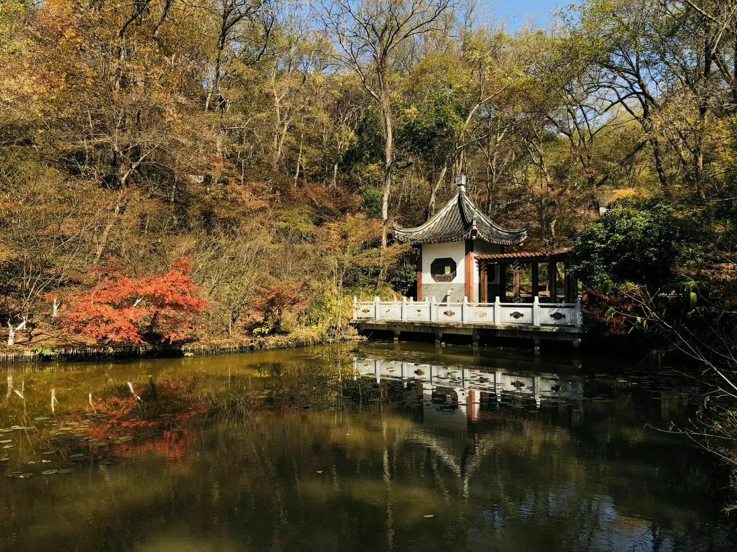 2020栖霞寺 旅游攻略 门票 地址 问答 游记点评，南京旅游旅游景点推荐 去哪儿攻略 
