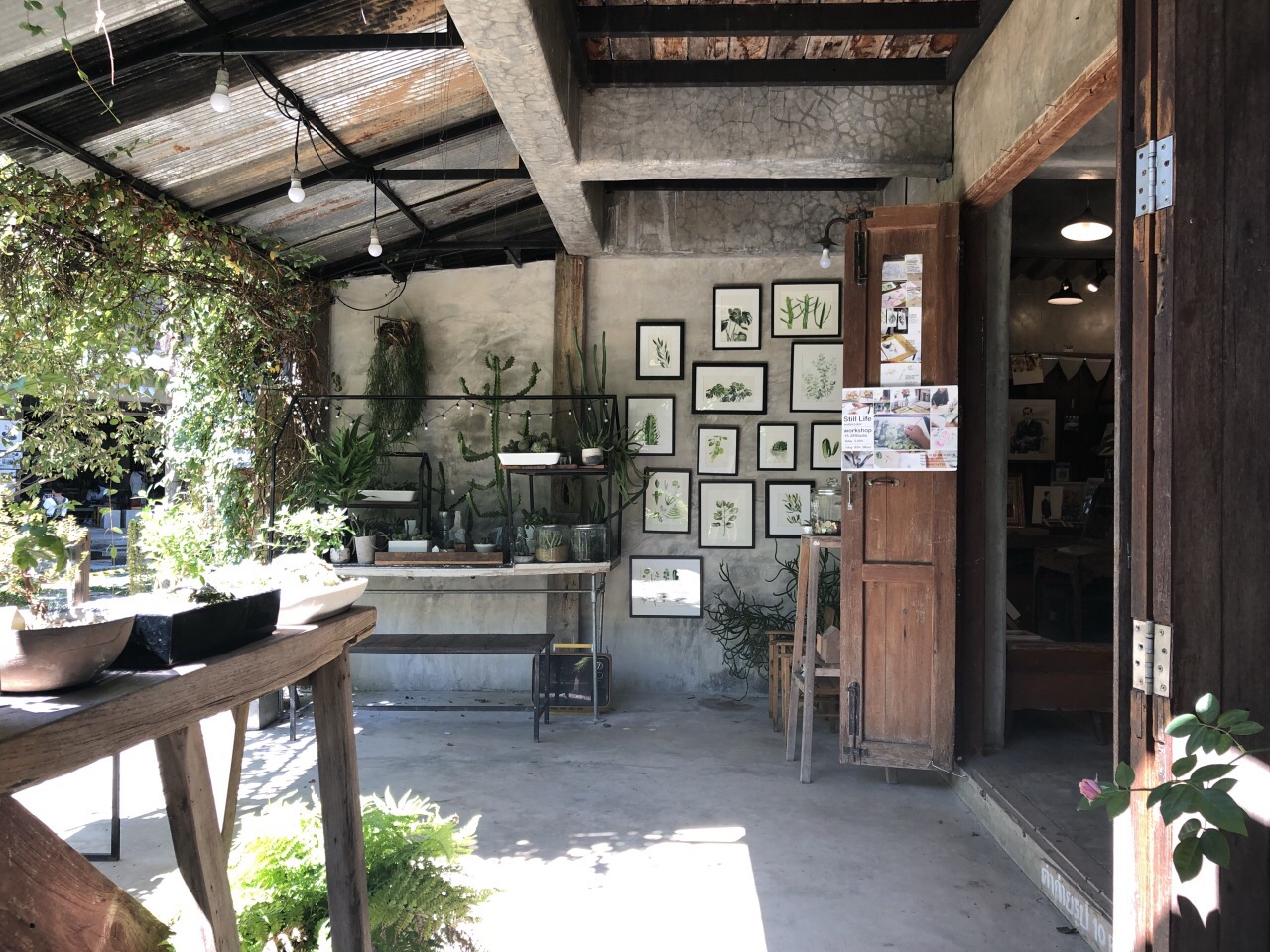 寺庙旁的家bann kang wat