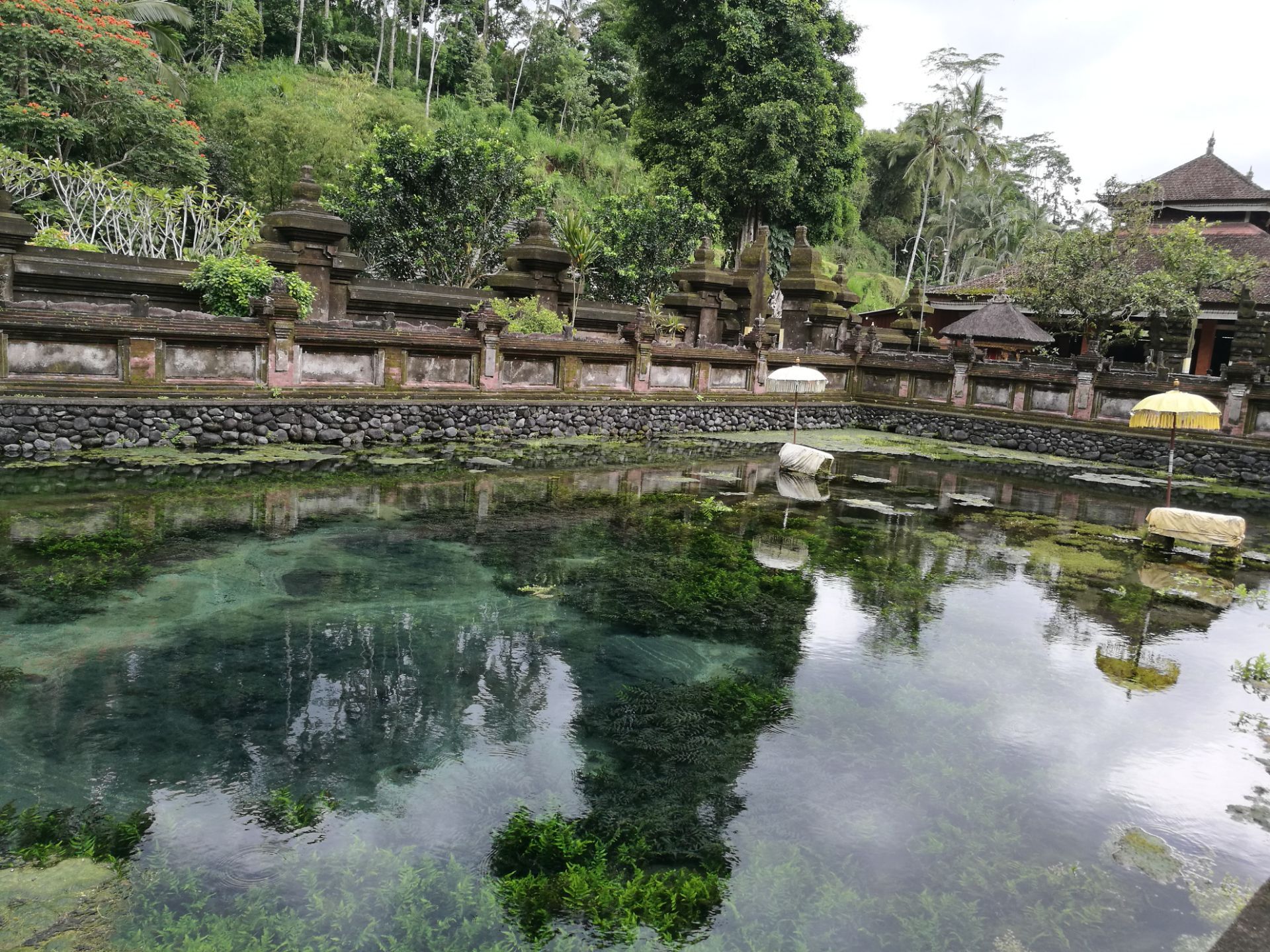 2019圣泉寺_旅游攻略_门票_地址_游记点评,巴厘岛旅游景点推荐 - 去哪儿攻略社区