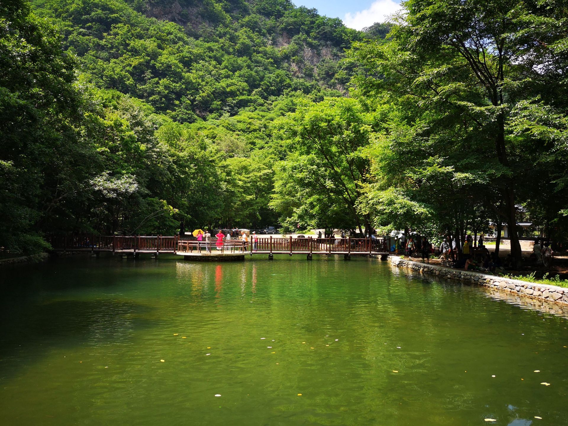 蒲石河森林公园