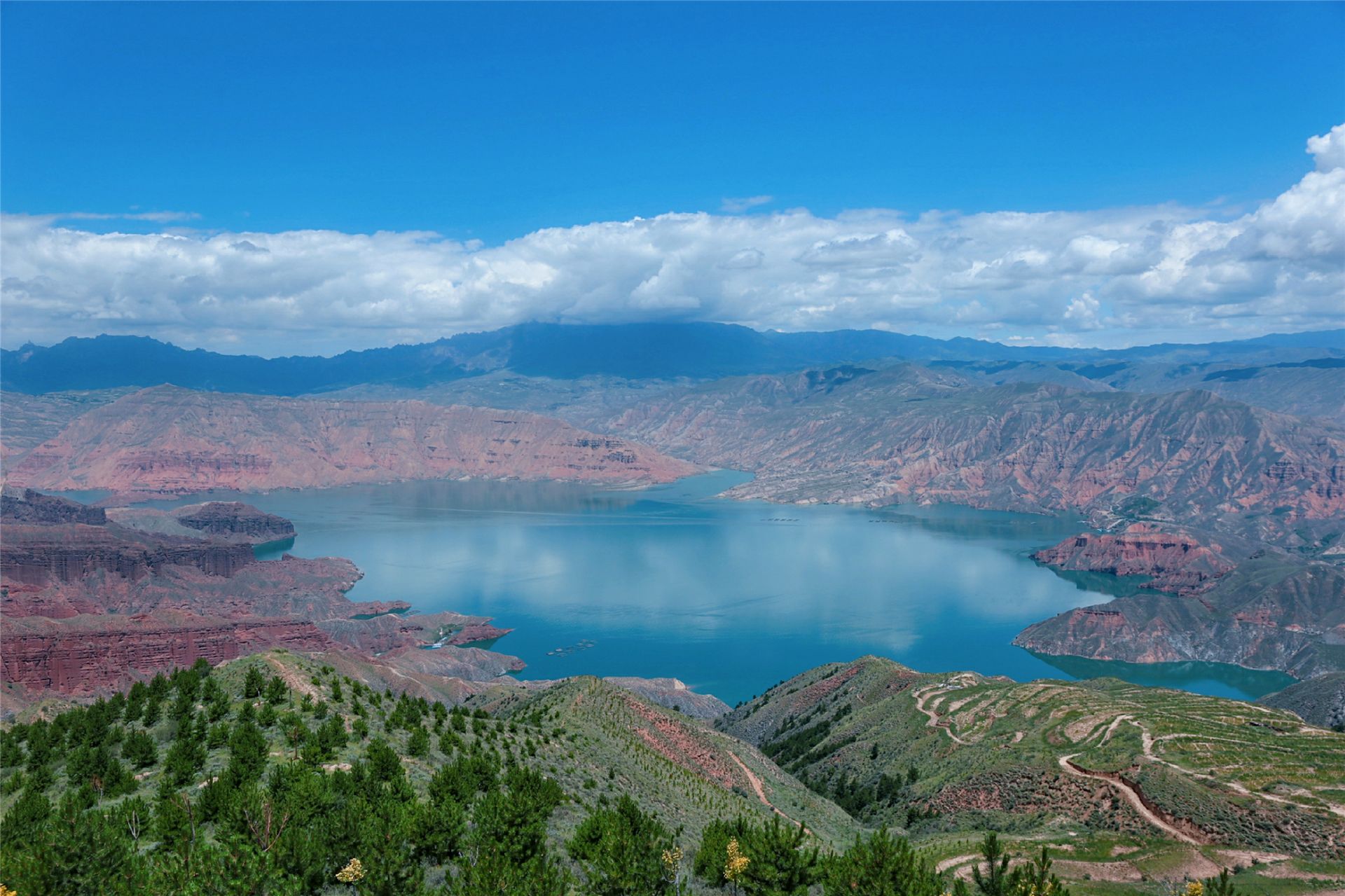 坎布拉国家森林公园