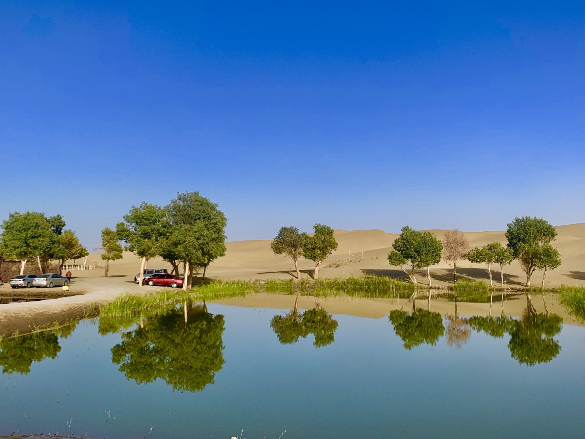 【夏日孔雀河摄影图片】新疆库尔勒国内摄影_老牛吧_太平洋电脑网摄影部落