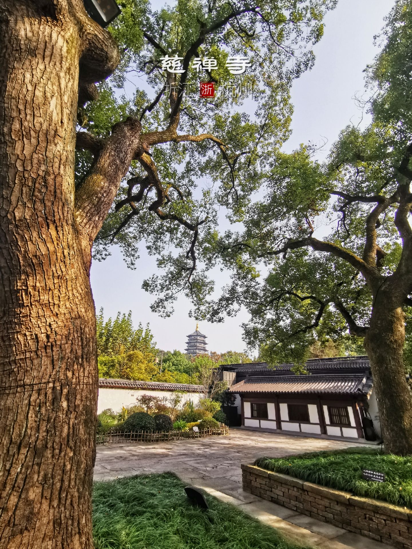 【攜程攻略】杭州南屏晚鐘景點,淨慈寺,位於杭州市的西湖南岸,雷峰塔