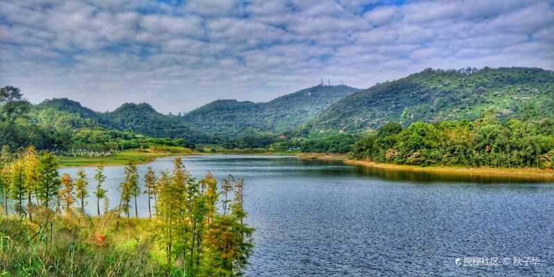 黄山鲁森林公园