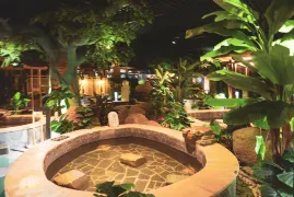 霸州1日遊：賽納溫泉輕鬆之旅，月兒灣歡樂時光