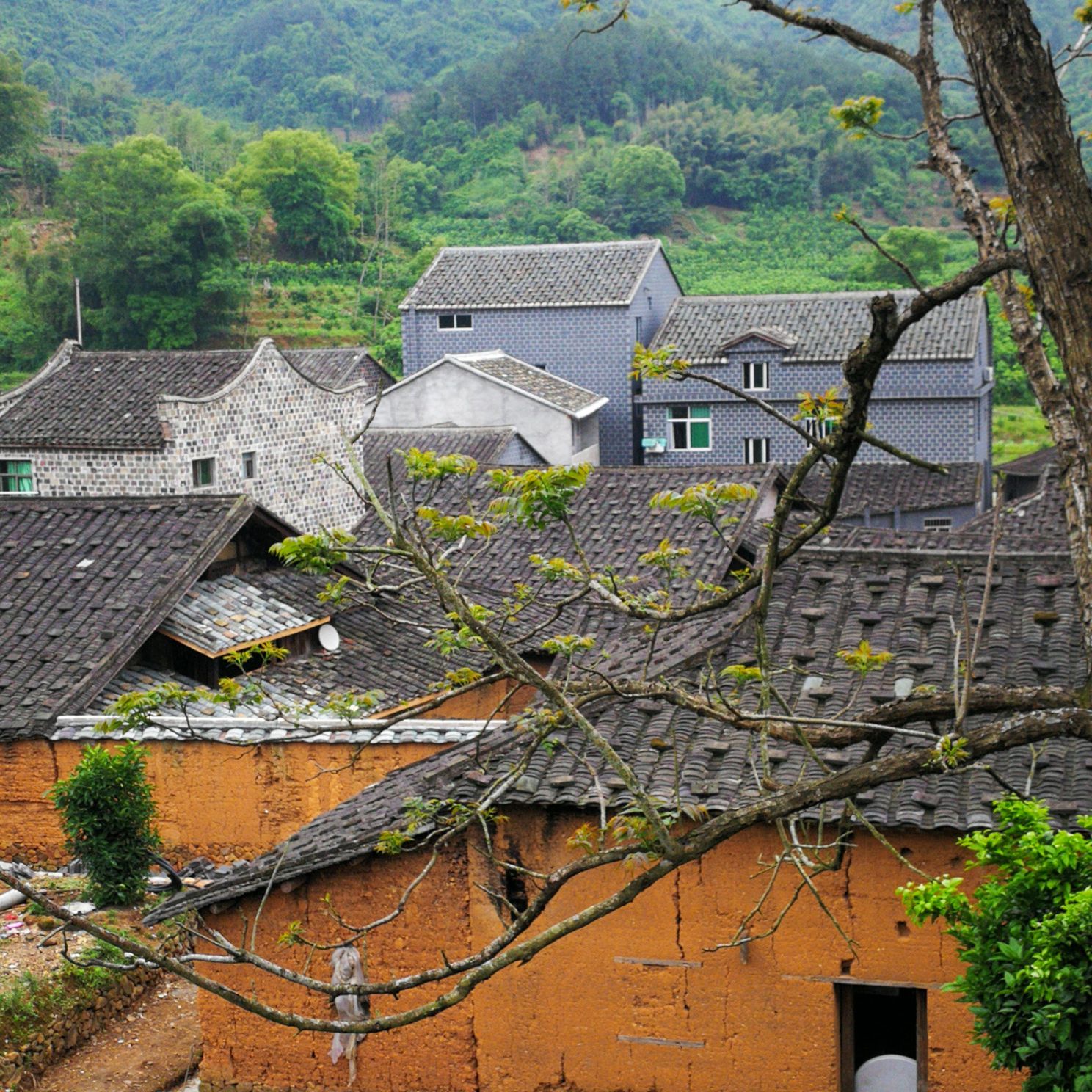 记住乡愁半月里图片