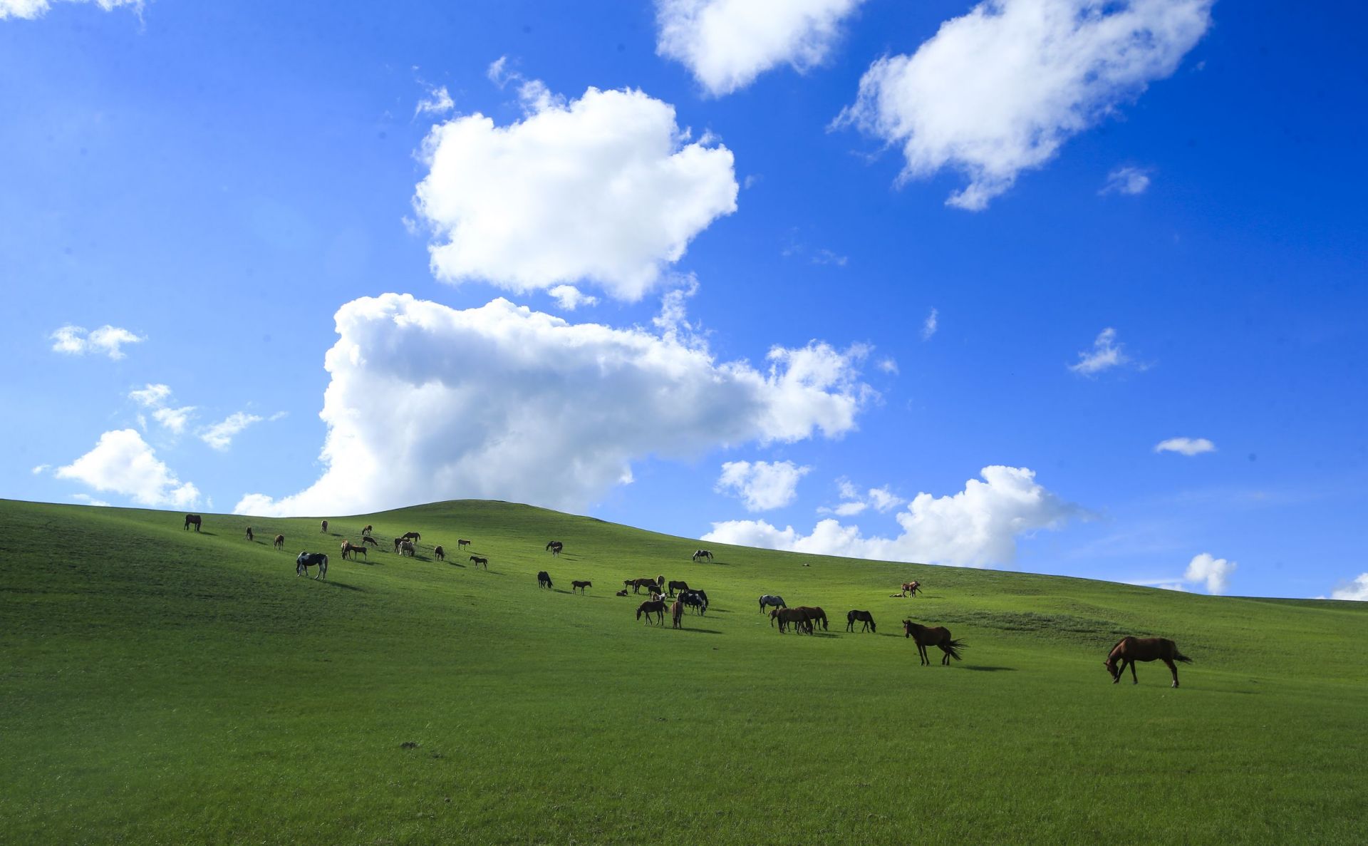 呼和诺尔草原旅游区