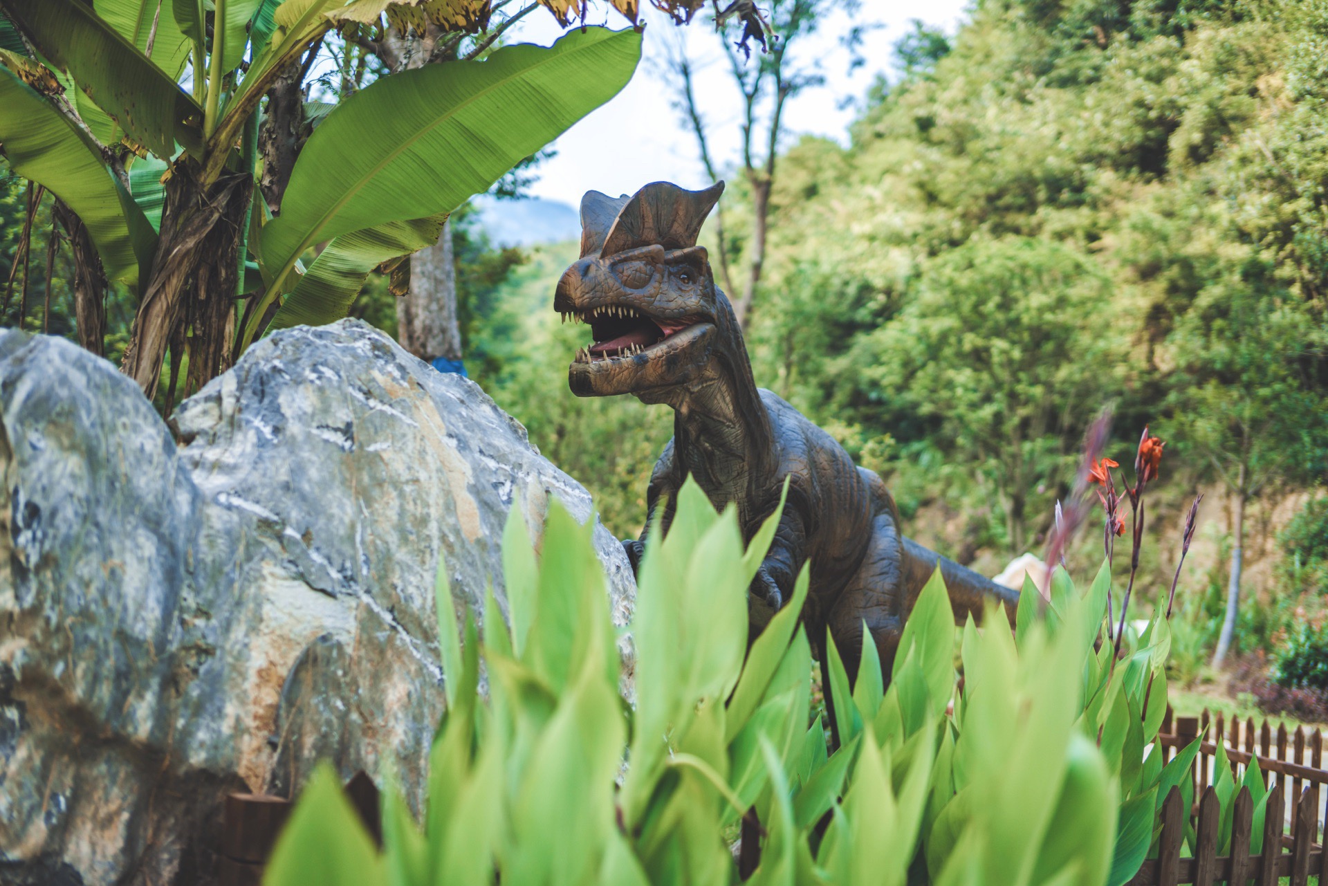 柃蜜小镇旅游度假区