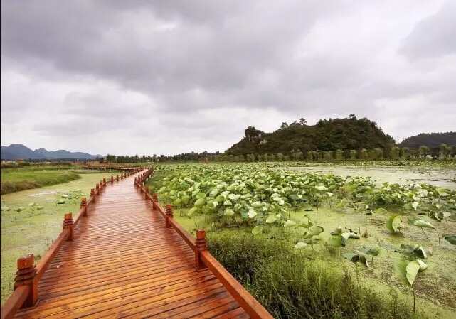 贵阳车田旅游攻略(贵阳车田景区好玩吗)