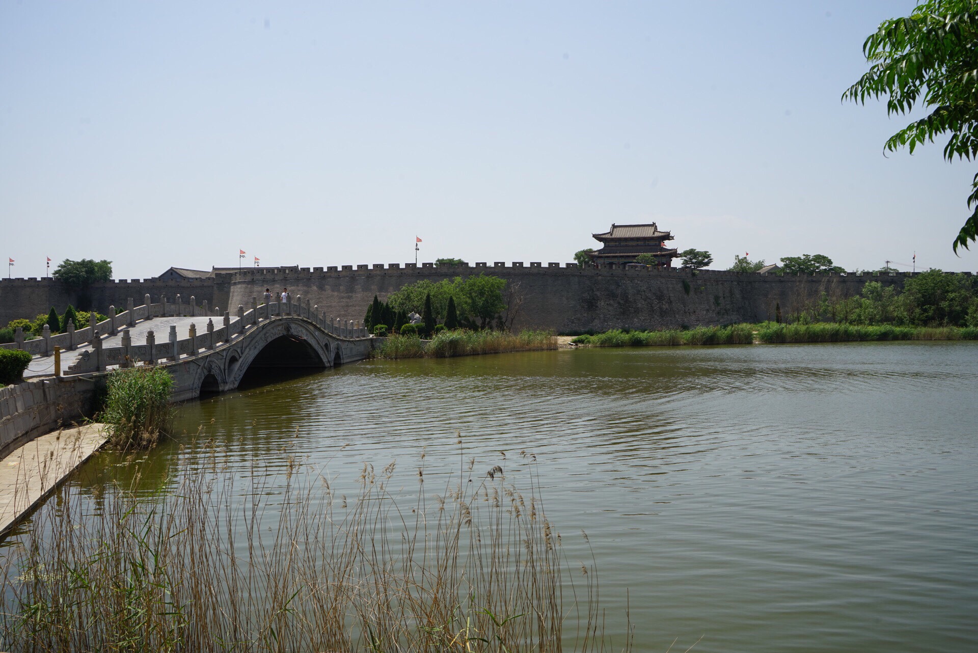㸮ųǼ(ӱ㸮ųǼ)