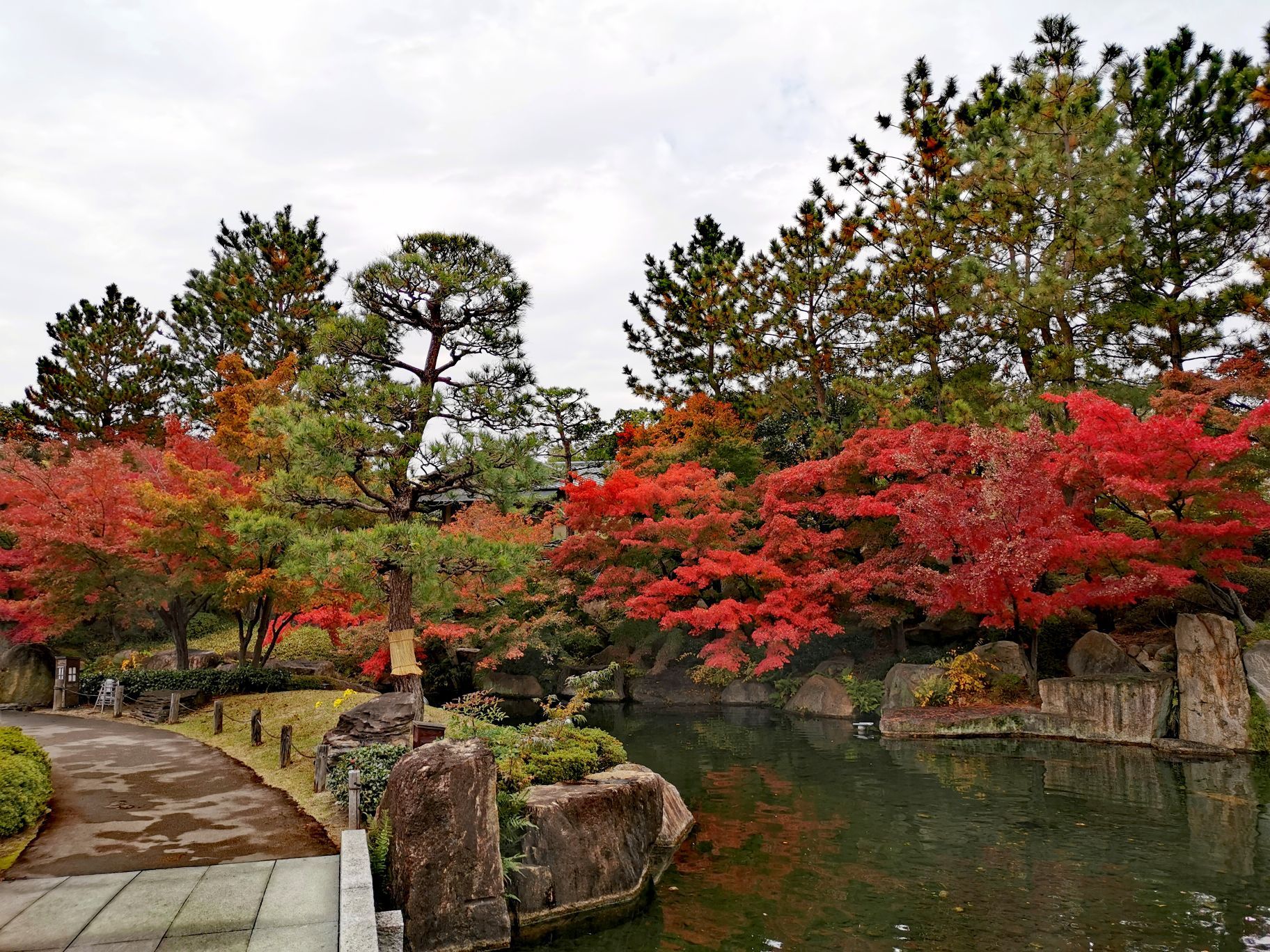 名古屋德川园好玩吗,名古屋德川园景点怎么样_点评_评价【携程攻略】