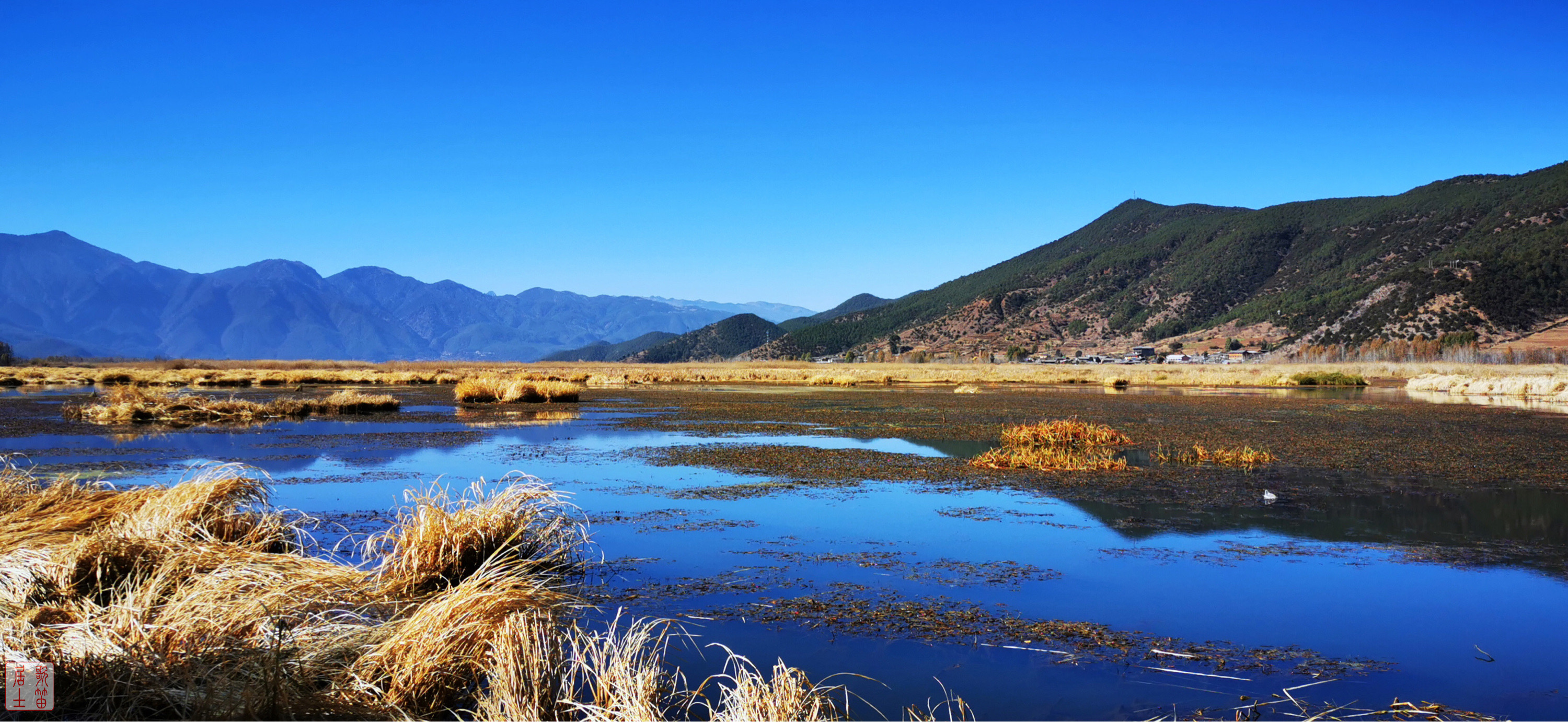 【携程攻略】泸沽湖草海景点,印象泸沽湖