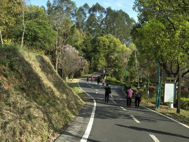 永安蝴蝶山公园
