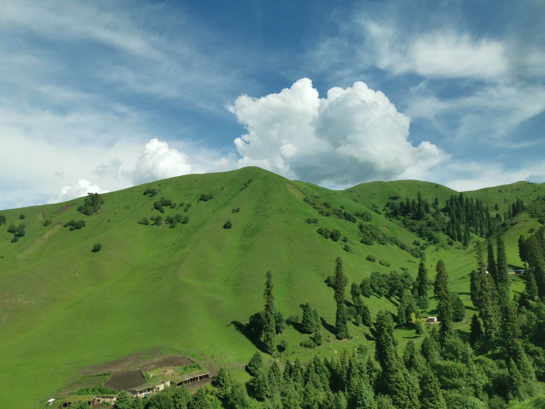 那拉提国家森林公园