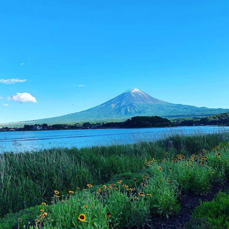 正月初六拿手机拍的 远眺富士山 须走口五合目自由行旅拍 旅游景点攻略 携程