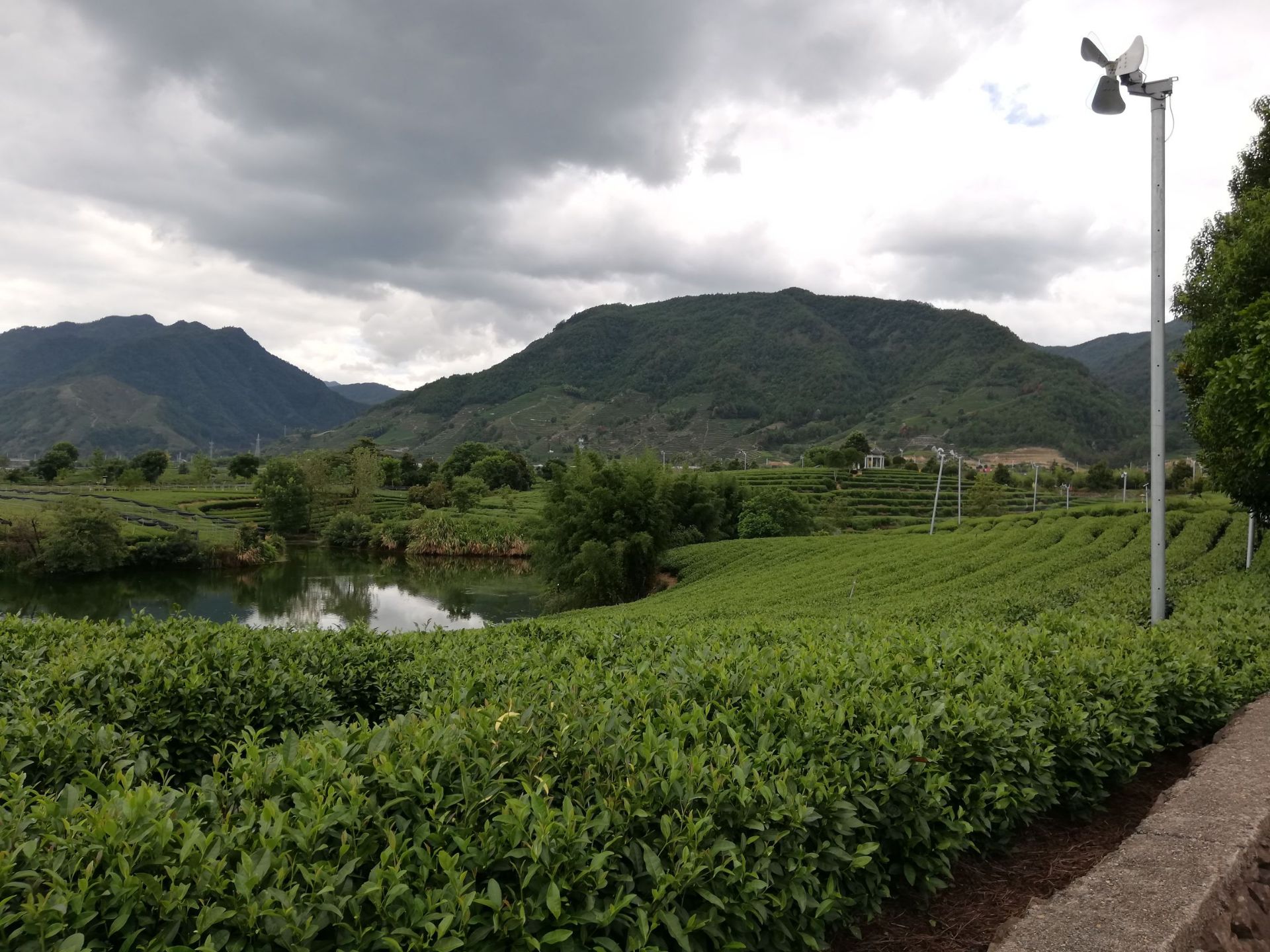 松阳大木山骑行茶园景区
