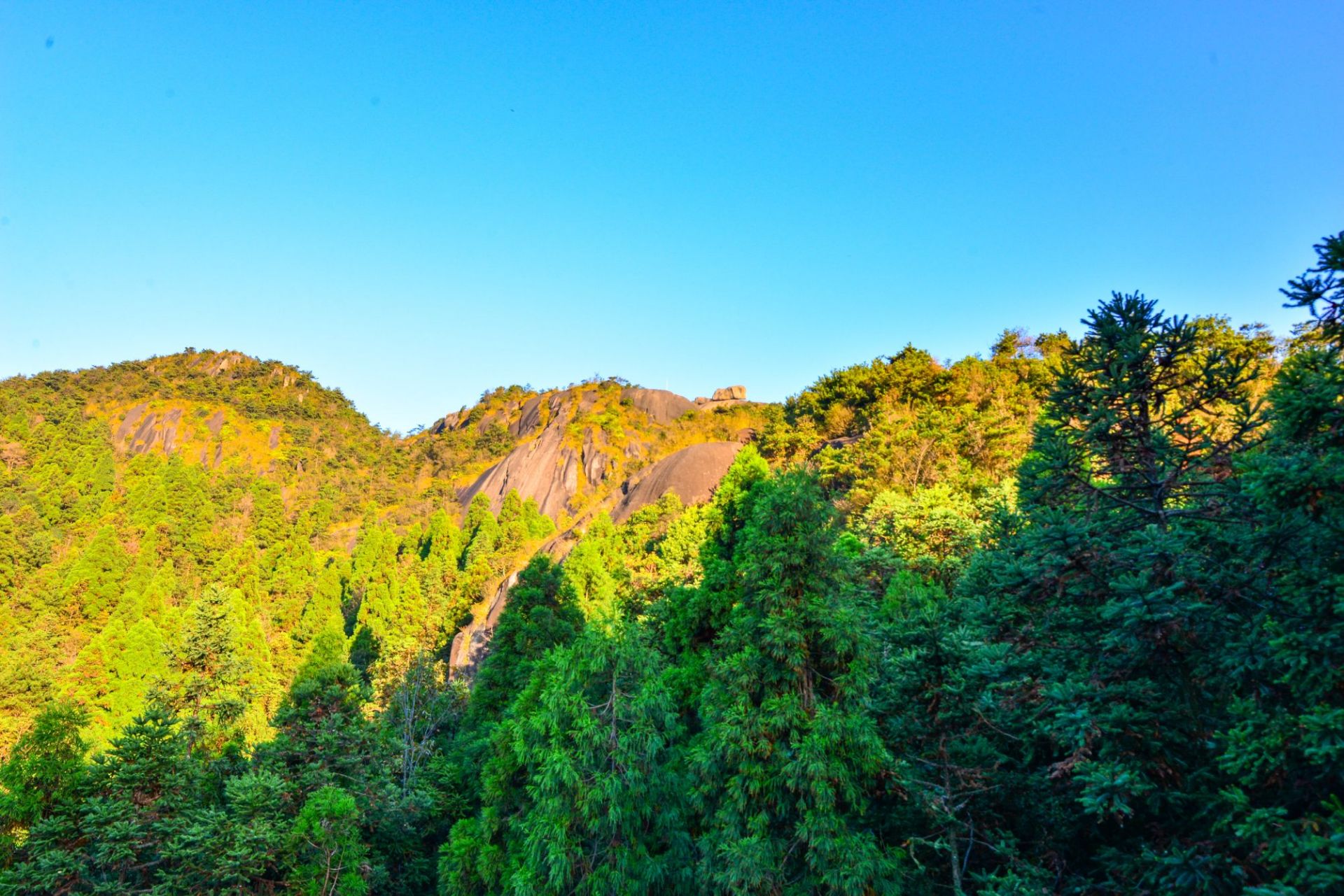 玉蒼山森林公園