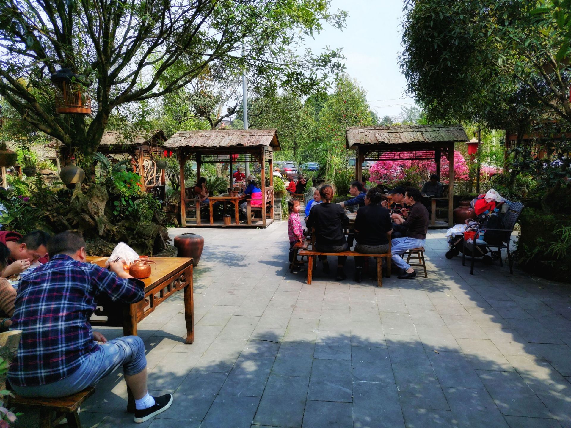 【携程美食林】都江堰青城甲(青城山店)餐馆,【青城甲,青城山下农家乐